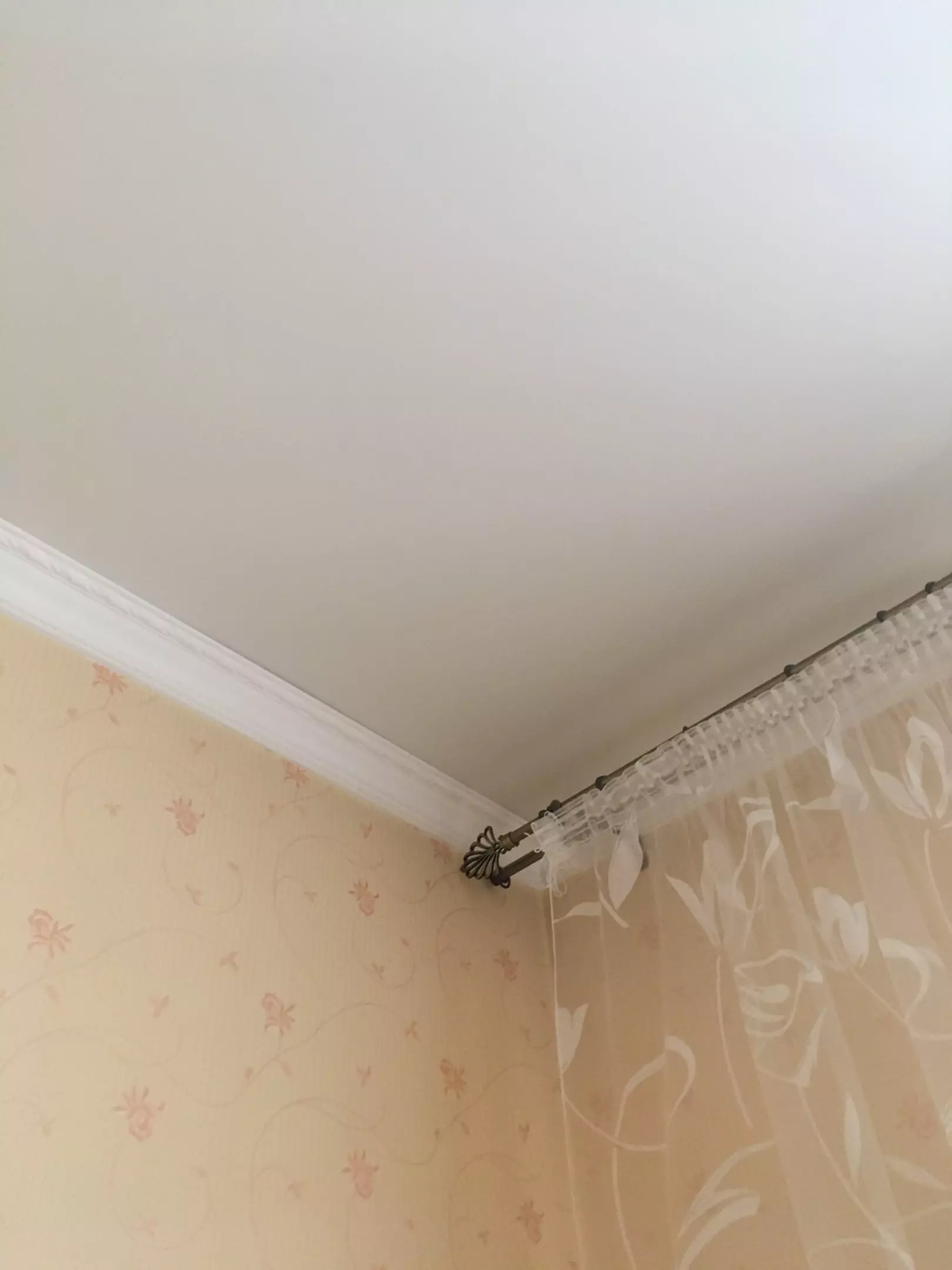 Нижний Новгород, Белинского, 118, фото 1