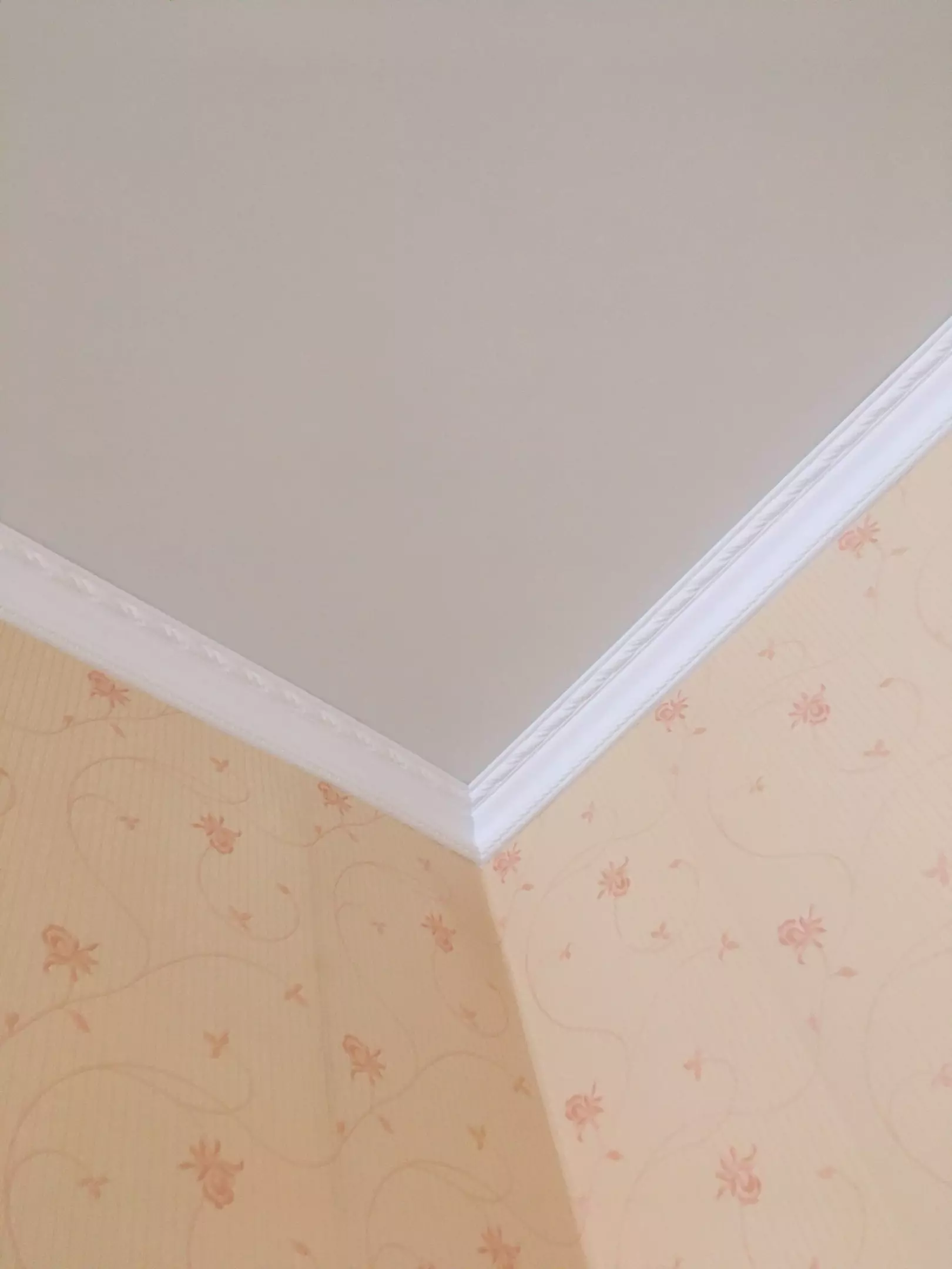 Нижний Новгород, Белинского, 118, фото 3