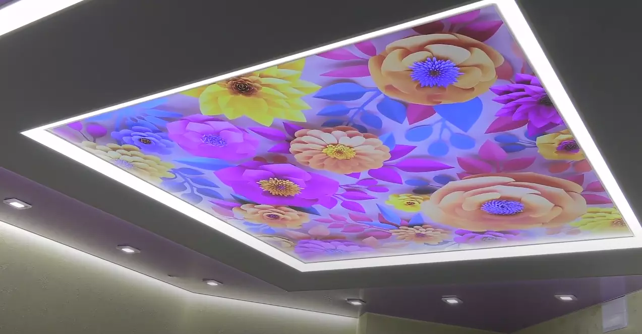 Двухуровневый натяжной потолок с эффектом Double vision